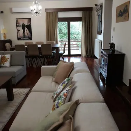 Villa Lux & Zen PalaiónTsiflíkion