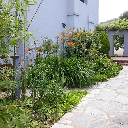 Villa Lux & Zen